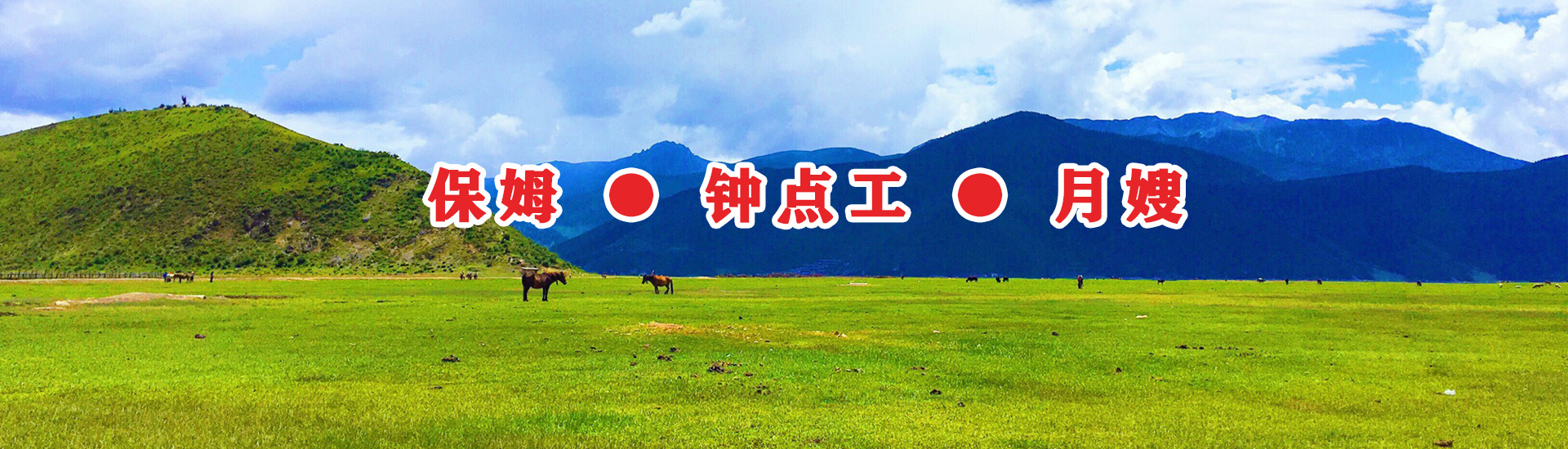 傢政(zheng)服(fu)務(wù)